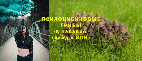 2c-b Абинск