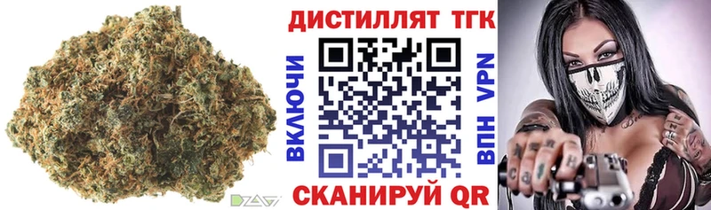как найти наркотики Болотное ТГК концентрат